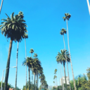 thecharitykat avatar