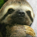 thechicknwing avatar