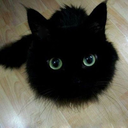 thechildoftheinternet avatar