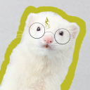 thechosenferret avatar