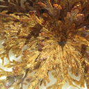 thechumplife-blog avatar