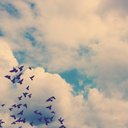 theclassylife13 avatar