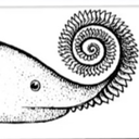 theclockroach avatar