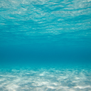 thecoastalclub avatar