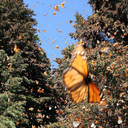 thecoldwarkids avatar