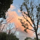 thecollectionsof avatar