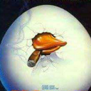 thecollectorofshiar avatar