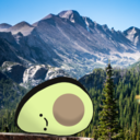 thecoloradoavocado avatar