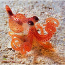 thecolorfulfreak avatar