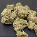 theconcordstoner avatar