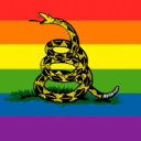 theconstitutionisgayculture avatar