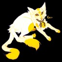 thecoolercoincat avatar