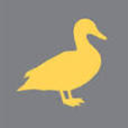 thecoolestducks avatar
