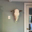 thecoolingtwilight avatar