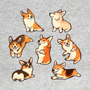 thecorgihome avatar