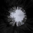 thecosmicdogsrebirthed avatar