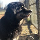 thecouragetobekind avatar