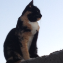 thecrazyone42 avatar