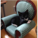 thecreativeaquarian avatar