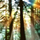 thecreatureblog avatar