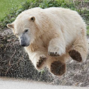 thecreaturess avatar