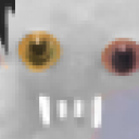 thecreechurcollective avatar