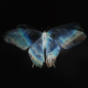 thecreelhouse avatar