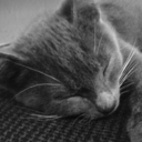 thecreeperswillbesaints avatar