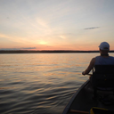 thecrest-and-colors avatar