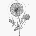 thecrownhammer avatar