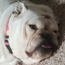 thecrystaltoast avatar