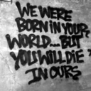 thecrystalwolf avatar