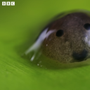 thecthectheopenc avatar