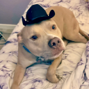 thecutestgrotto avatar