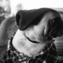 thecynicofthistown avatar