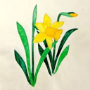 thedaffodilsbloominspring avatar