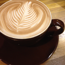 thedailyseattleite avatar