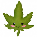 thedailyweedfeed avatar