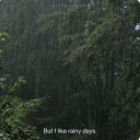 thedancycaterpillar avatar