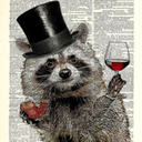 thedandyrascal avatar