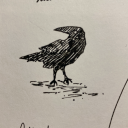 thedapperraven avatar