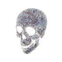 thedarkbutterflygirl avatar