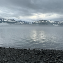 thedarkone-inthenight avatar