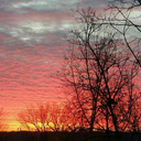 thedaveuniverse avatar