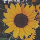 thedaydreamerworld avatar