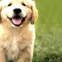 thedayikilledmybestfriend avatar