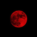 thedeathkitty avatar