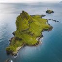 thedeepeststudentflower avatar