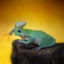 thedeinhardtreader avatar