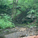 thedemonswontwin avatar